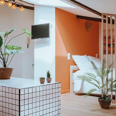 Le Nid Douillet De L'Hypercentre Apartment Toulouse Ngoại thất bức ảnh