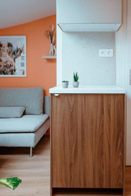 Le Nid Douillet De L'Hypercentre Apartment Toulouse Ngoại thất bức ảnh