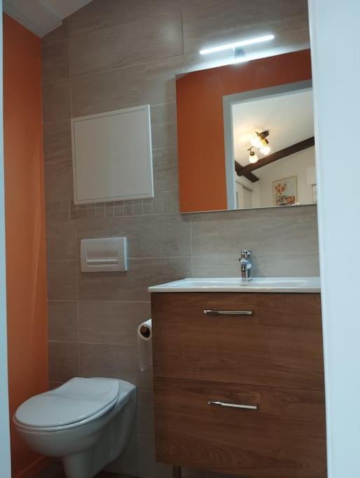 Le Nid Douillet De L'Hypercentre Apartment Toulouse Ngoại thất bức ảnh