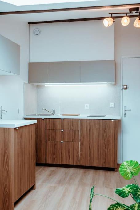 Le Nid Douillet De L'Hypercentre Apartment Toulouse Ngoại thất bức ảnh