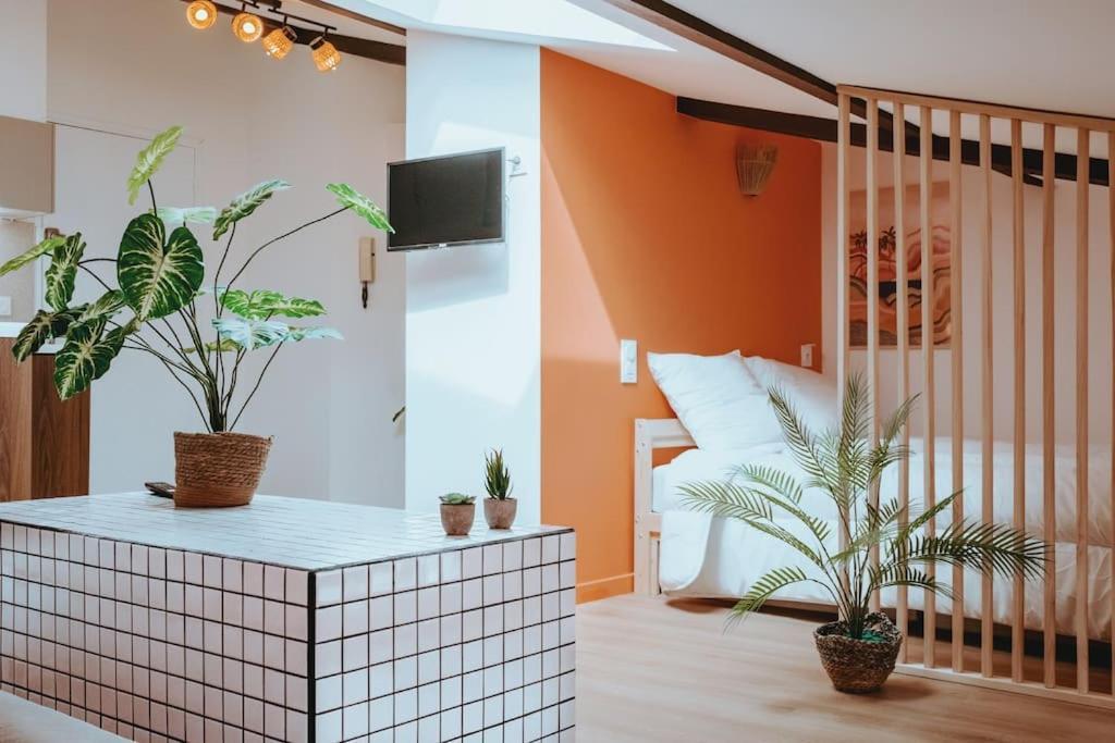 Le Nid Douillet De L'Hypercentre Apartment Toulouse Ngoại thất bức ảnh